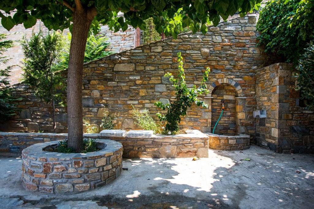 费索斯¨Με Θέα Το Ηλιοβασίλεμα¨别墅 外观 照片